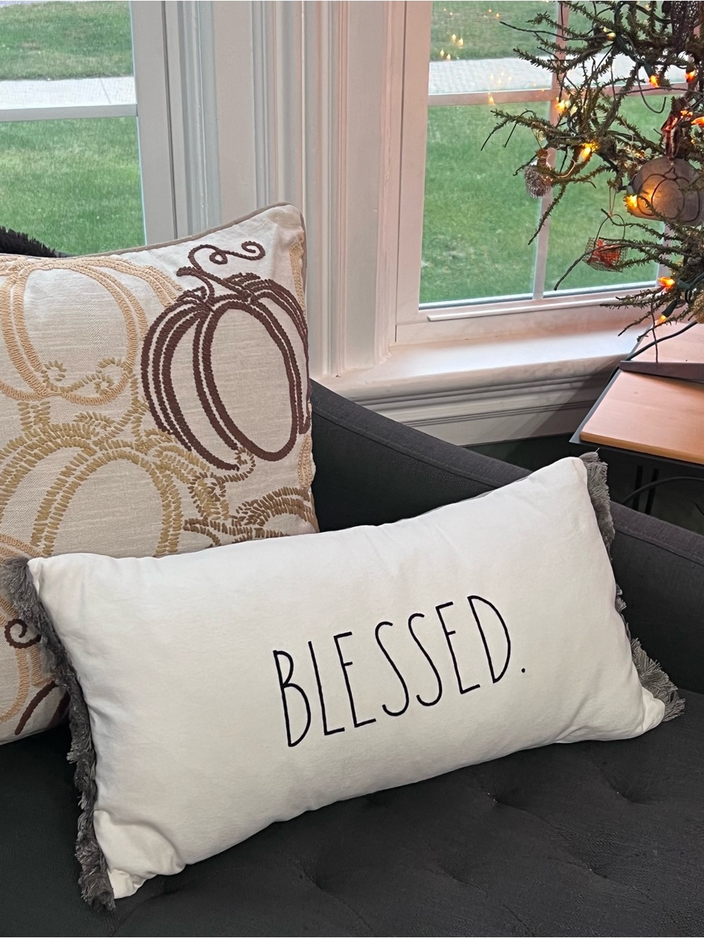 Rae Dunn Cream Gray Fringed Rectangular Pillow 🍂